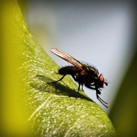 /album/paljuvuokraus-pielavesi/photolia-a04-jpg/