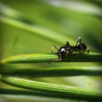 /album/paljuvuokraus-pielavesi/photolia-a05-jpg/