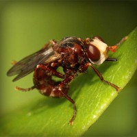 /album/paljuvuokraus-pielavesi/photolia-a06-jpg/