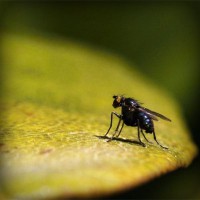 /album/paljuvuokraus-pielavesi/photolia-a07-jpg/