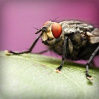 /album/paljuvuokraus-pielavesi/photolia-a08-jpg/